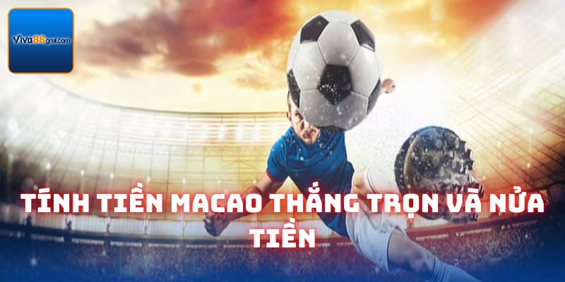 Kèo Macao Viva88 | Kinh Nghiệm Vào Tiền Luôn Thắng 2026 - SPINRIVO96