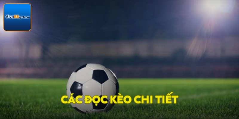 Kèo Tài Xỉu VIVA88 - Tìm Hiểu Cách Chơi Vô Cùng Chi Tiết  - SPINRIVO96