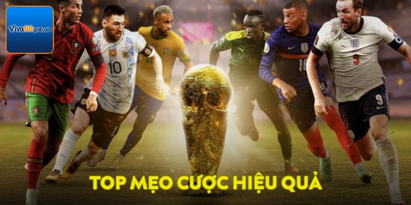 Kèo Tài Xỉu VIVA88 - Tìm Hiểu Cách Chơi Vô Cùng Chi Tiết  - SPINRIVO96