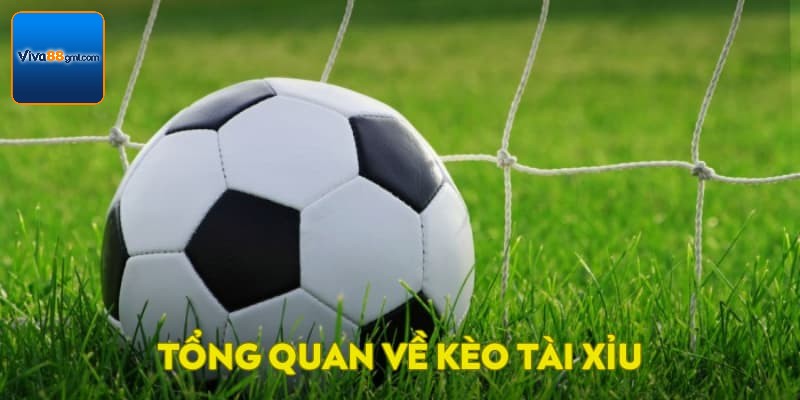 Kèo Tài Xỉu VIVA88 - Tìm Hiểu Cách Chơi Vô Cùng Chi Tiết  - SPINRIVO96