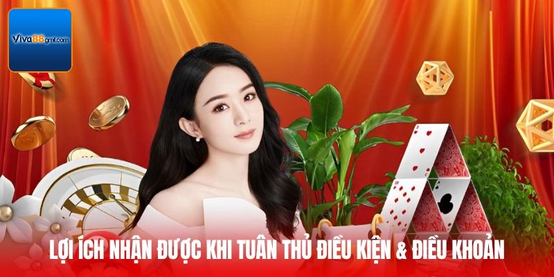 Điều Kiện & Điều Khoản - Lối Đi An Toàn Cho Mọi Trải Nghiệm  - SPINRIVO96