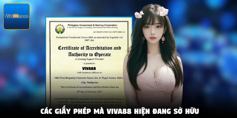 Thương Hiệu Viva88 - Khám Phá Giấy Phép Và Sứ Mệnh Cốt Lõi - SPINRIVO96