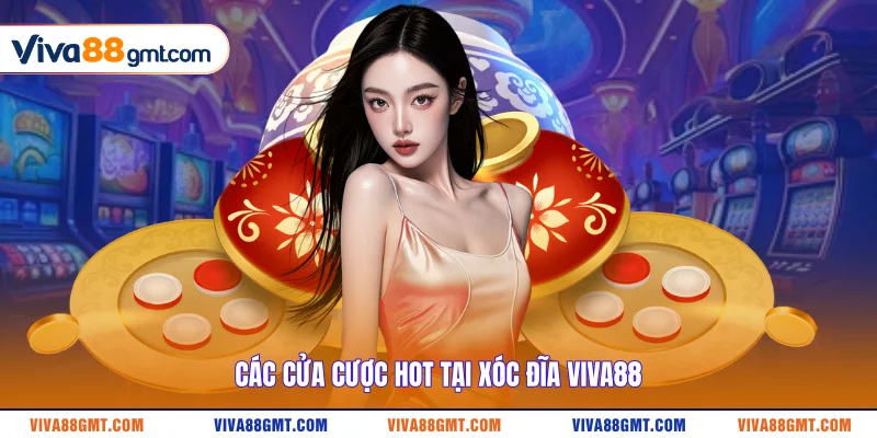Mẹo Đánh Xóc Đĩa Online | 3 Bí Quyết Bất Bại Từ Cao Thủ - SPINRIVO96