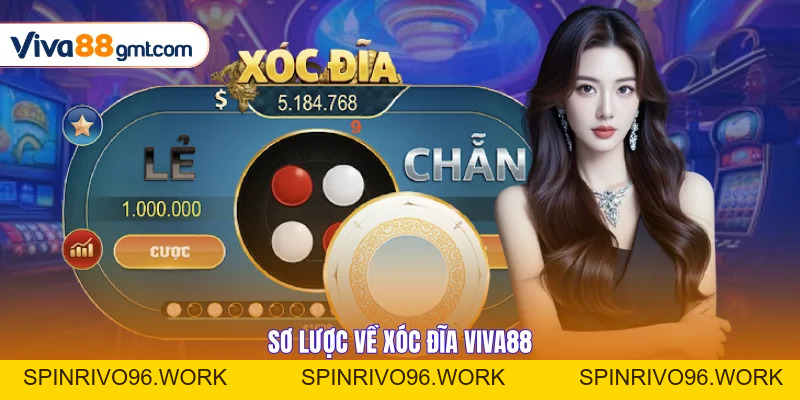 Quy Luật Xóc Đĩa VIVA88 | Công Thức Ăn Tiền Từ Chuyên Gia - SPINRIVO96 Quy Luật Xóc Đĩa VIVA88 | Công Thức Ăn Tiền Từ Chuyên Gia - SPINRIVO96