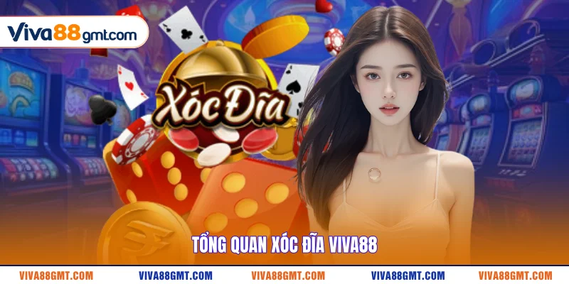Mẹo Đánh Xóc Đĩa Online | 3 Bí Quyết Bất Bại Từ Cao Thủ - SPINRIVO96
